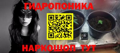 прущие грибы Конаково